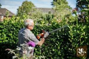 Man Using Cordless Hedge Trimmer
