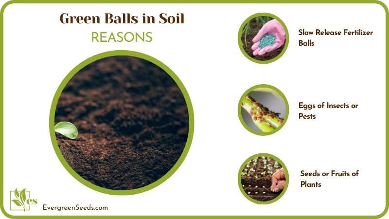 Reasons for Green Balls Creation
