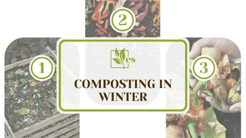 Composting in Winter Tips and Tricks