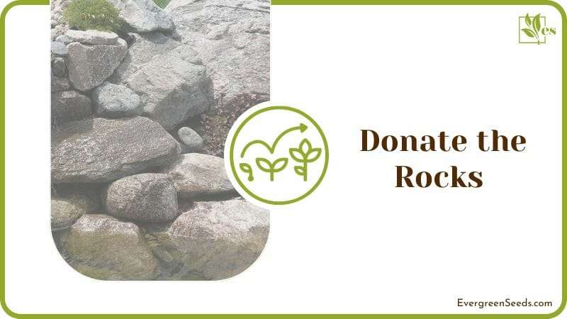 Donate the Rocks for Charity