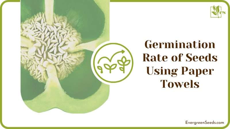 Germination Rate of Seeds Using Paper Towels