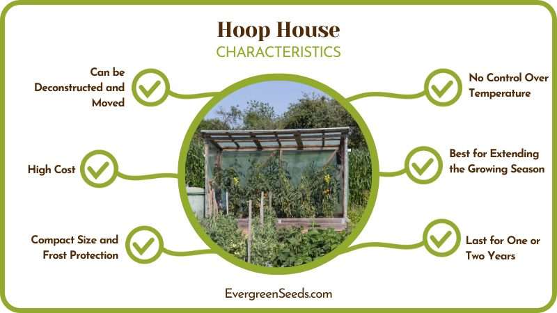 Hoop House vs Greenhouse Requirements