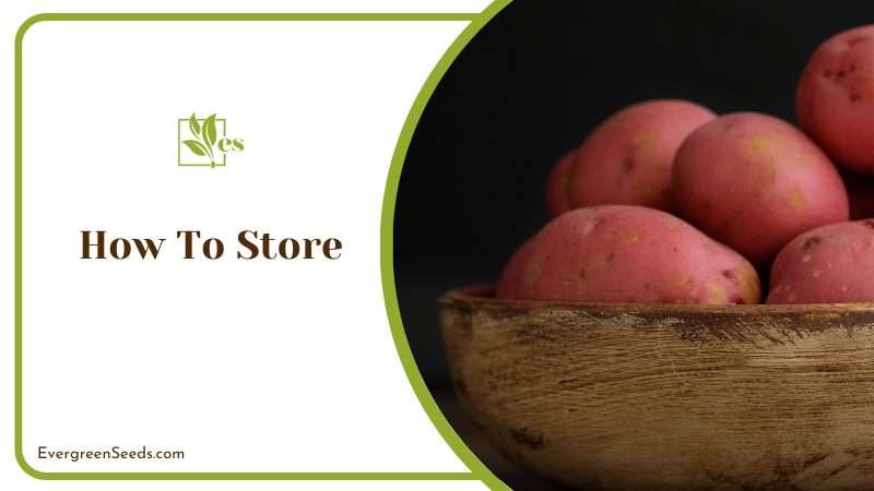 How to Store Red Rose Potatoes