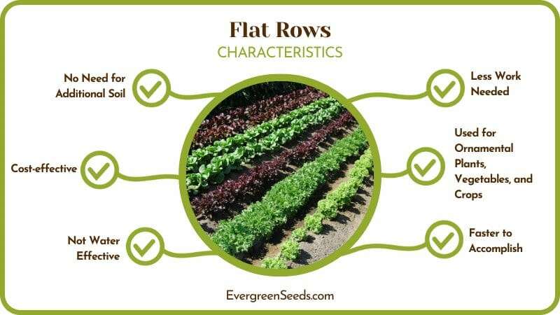 Garden Flat Rows