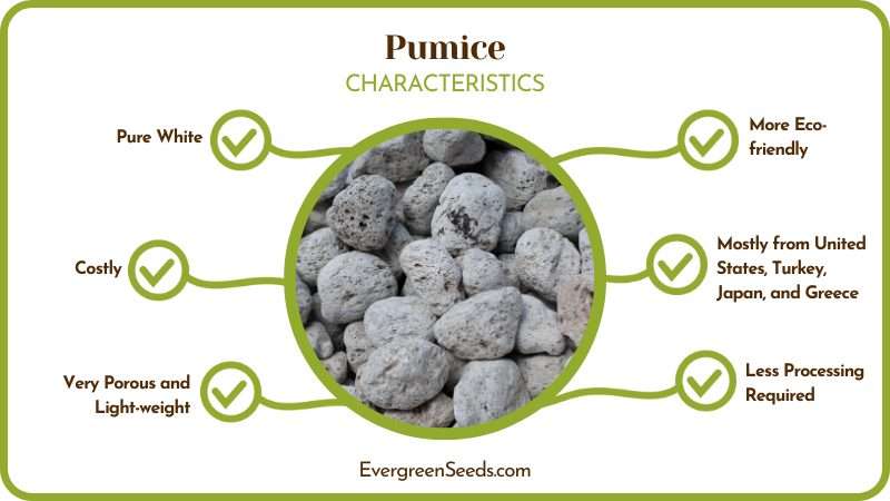 Pumice vs Perlite Characteristics