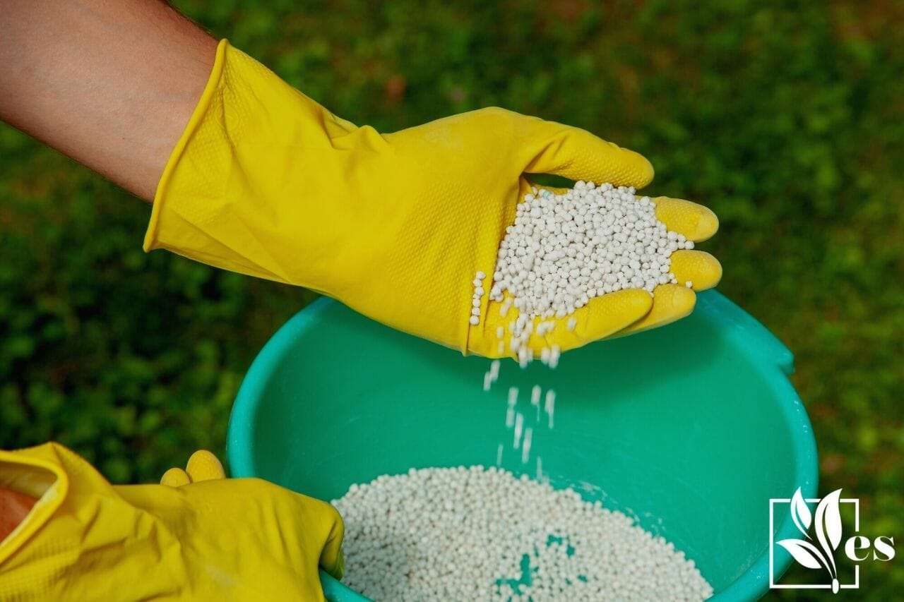 Gardener in gloves holds white fertilizer balls