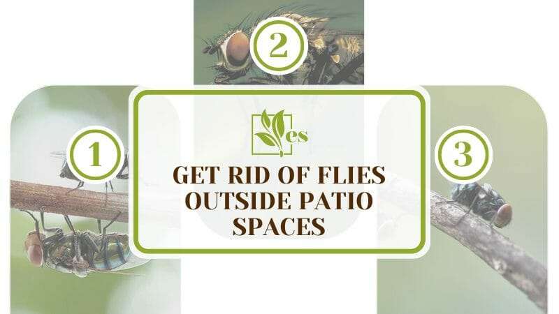 Get Rid Of Flies Outside Patio Spaces