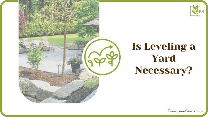 Leveling a Yard is Necessary