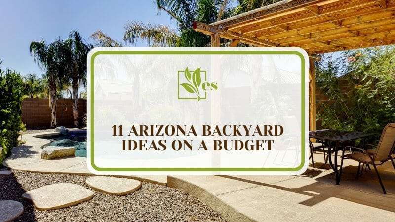 Arizona Backyard Ideas on a Budget