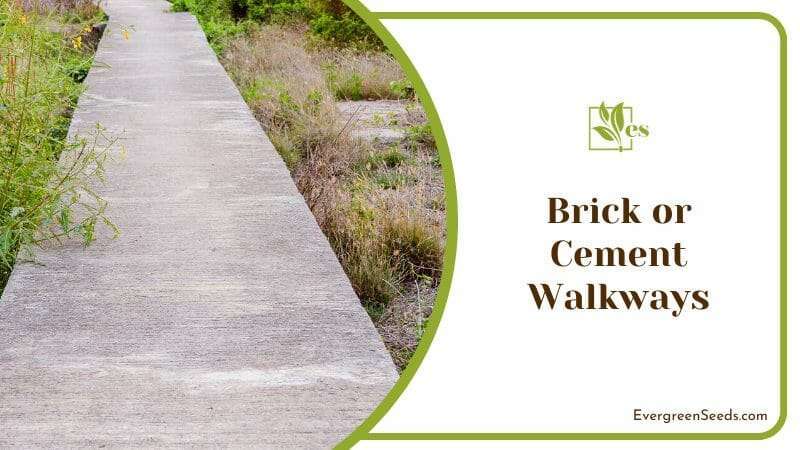 Brick or Cement Walkways in House Backyard