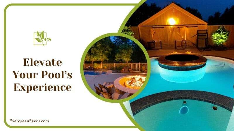 Elevate Your Pools Experience