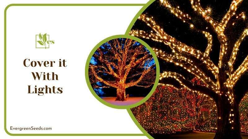 Oak Tree Cover it With Lights Home Hack