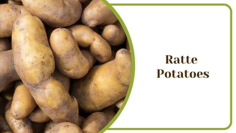 Ratte Potatoes