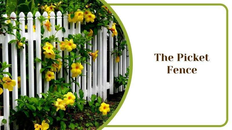 The Picket Fence For Backyards Flower Yellow Petal Surround