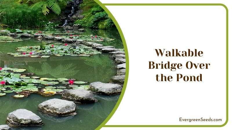 Walkable Bridge Over the Pond Outdoor Yard Ideas Japanese Theme