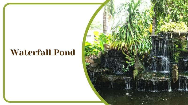 Waterfall Pond in a Yard Surrounded by Nature and Green Plants