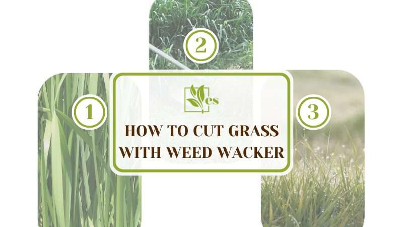 Cut Grass with Weed Wacker