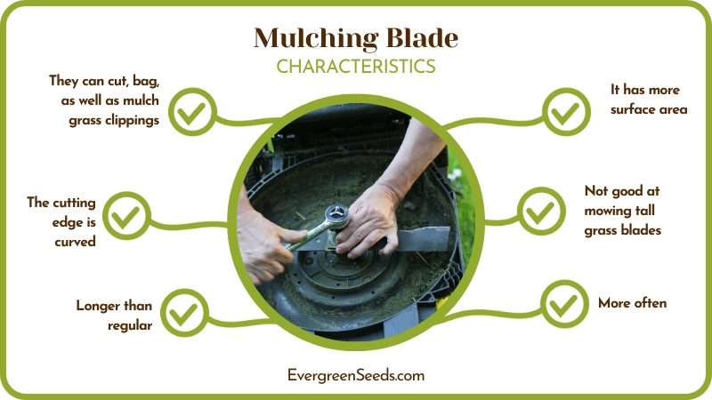 Mulching Blade Feature