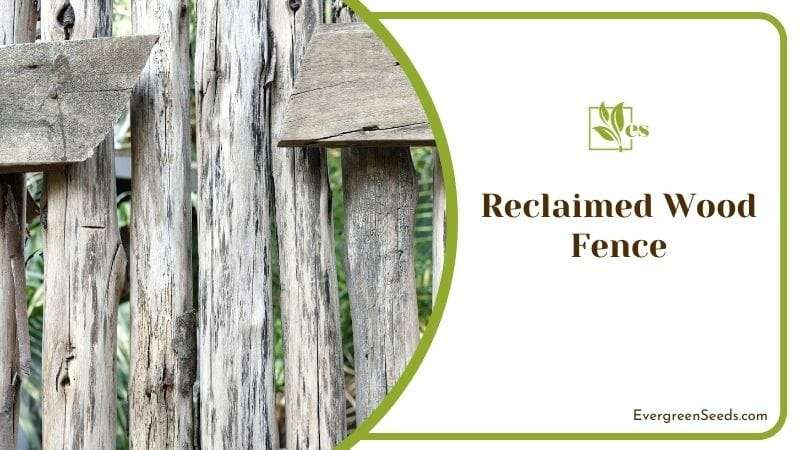 Reclaimed Wood Fence