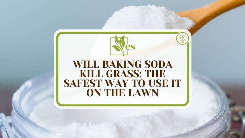 Safet way to use baking soda on the lawn