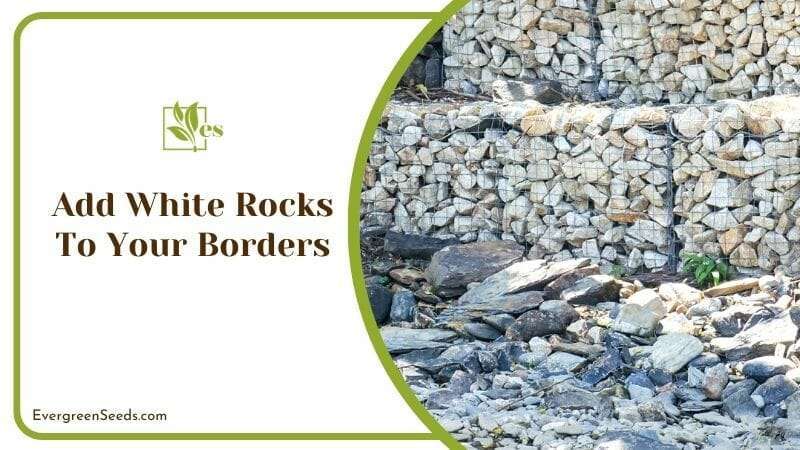 Add White Rocks To Your Borders
