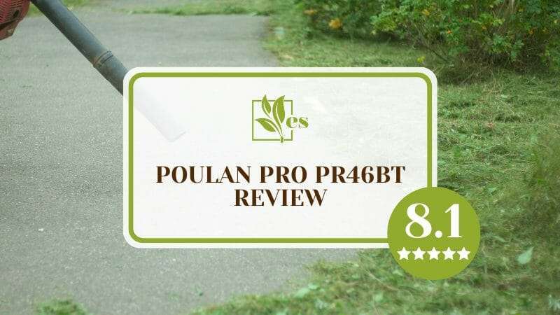 Amazing Poulan Pro PR46BT Blower Review