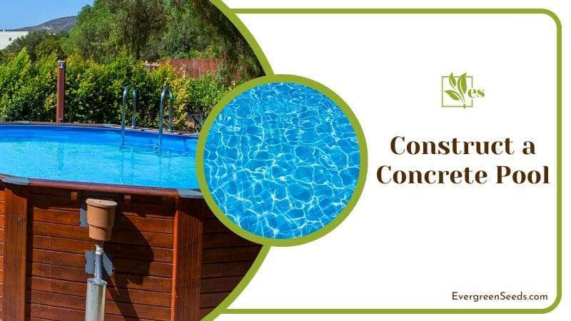Backyard Concrete Swimming Pool