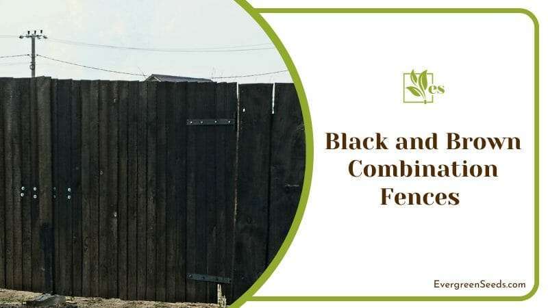 Black and Brown Combination Fences