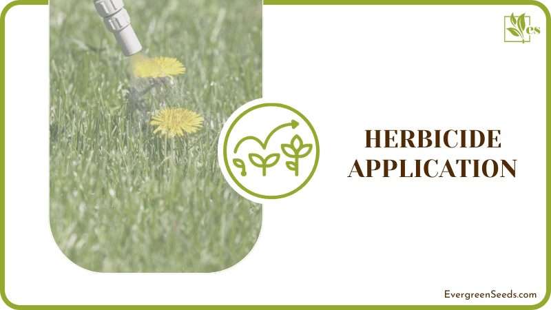 Herbicide Application