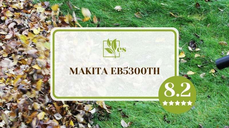 Most Efficient Leaf Blower Makita EB5300TH