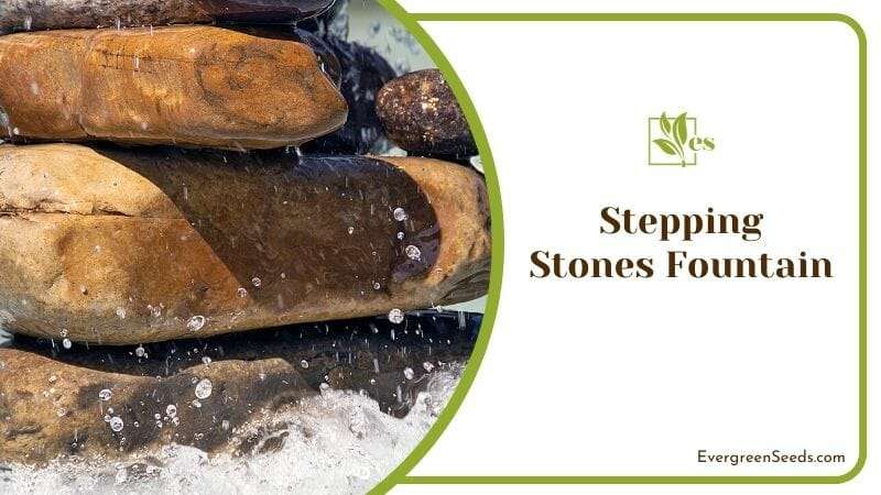 Stepping Stones Fountain