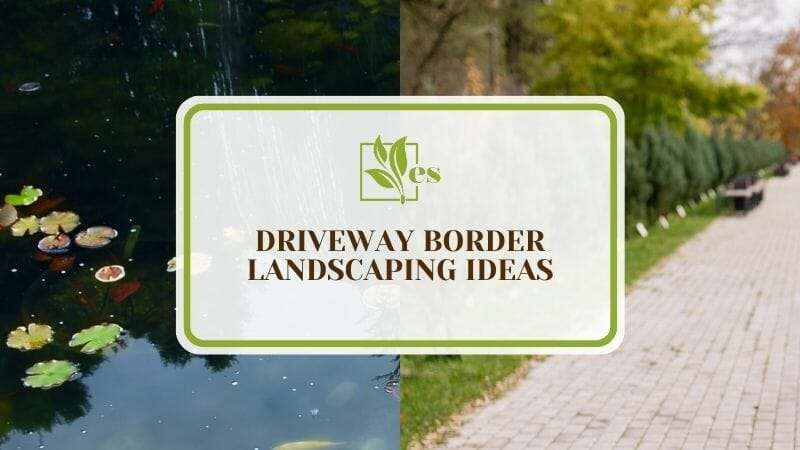 12 Driveway Border Landscaping Ideas