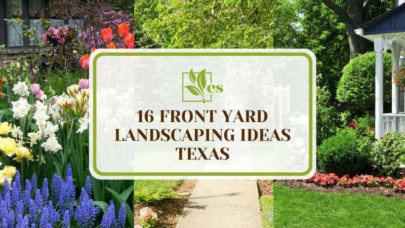 16 Front Yard Landscaping Ideas Texas