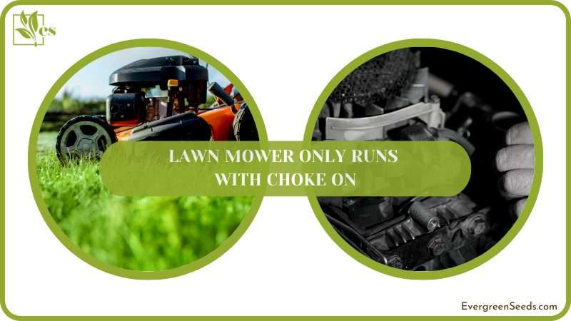 Causes of Lawn Mower Choke Issues