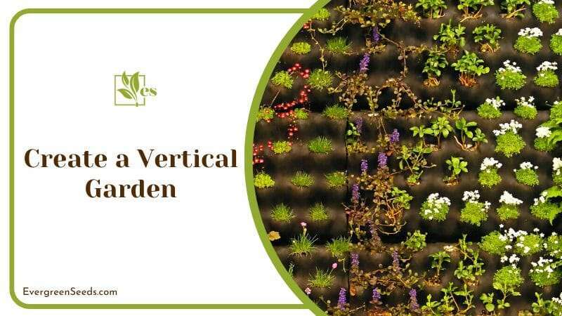 Different Plants on a Vertical Garden