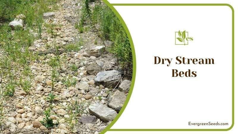 Dry Stream Beds