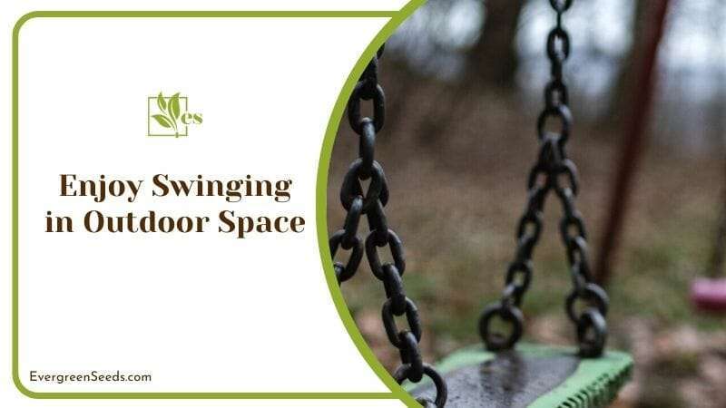 Enjoy Swinging in Outdoor Space