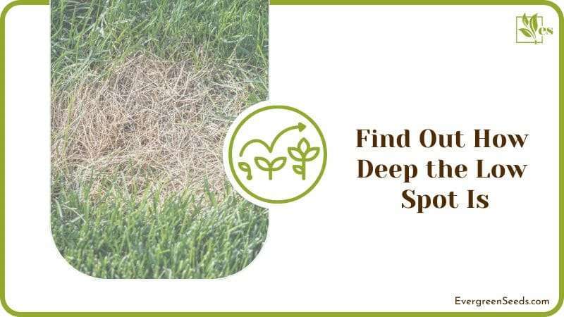 Find Out How Deep the Low Spot Is