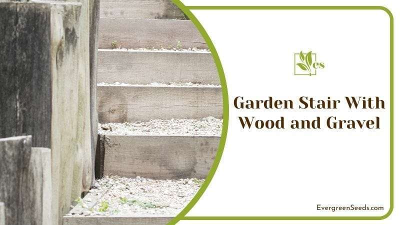 Garden Stair With Wood and Gravel