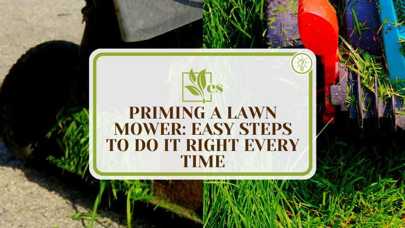 Guide to Priming Your Lawn Mower