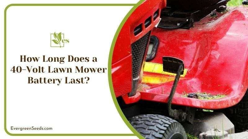 How Long Does a 40-Volt Lawn Mower Battery Last