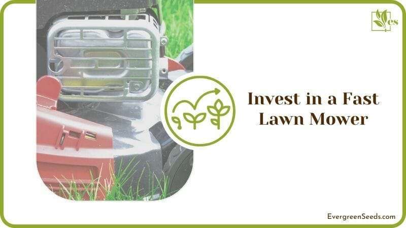 Invest in a Fast Lawn Mower