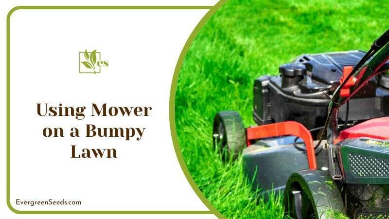 Mower on a Bumpy Lawn