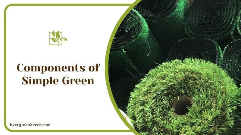 Non Toxic Components of Simple Green