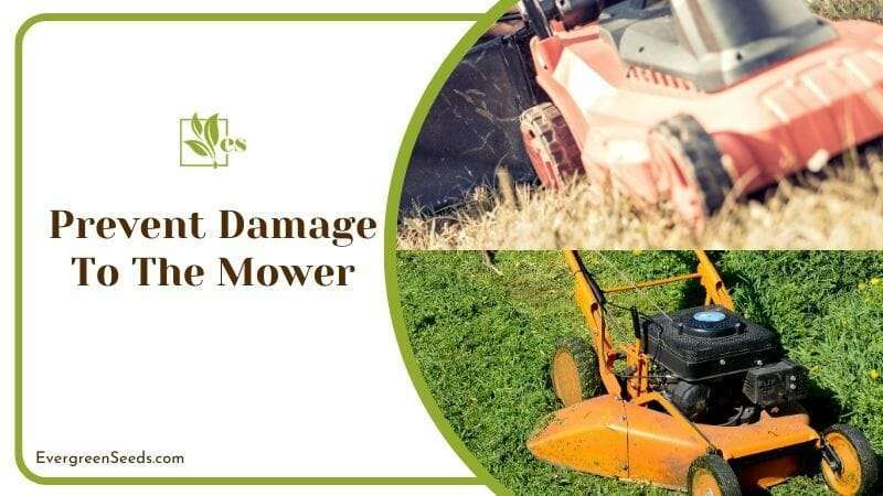 Prevent Damage to the Mower