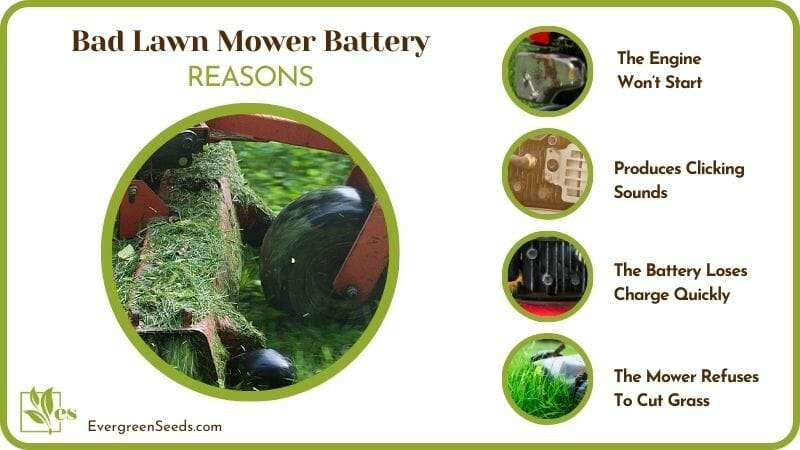 Reasons Bad Lawn Mower Battery