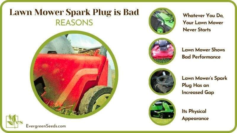 Reasons Lawn Mower Spark Plug is Bad