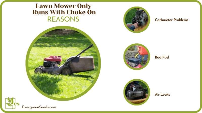 Reasons for Lawn Mower Only Runs With Choke On