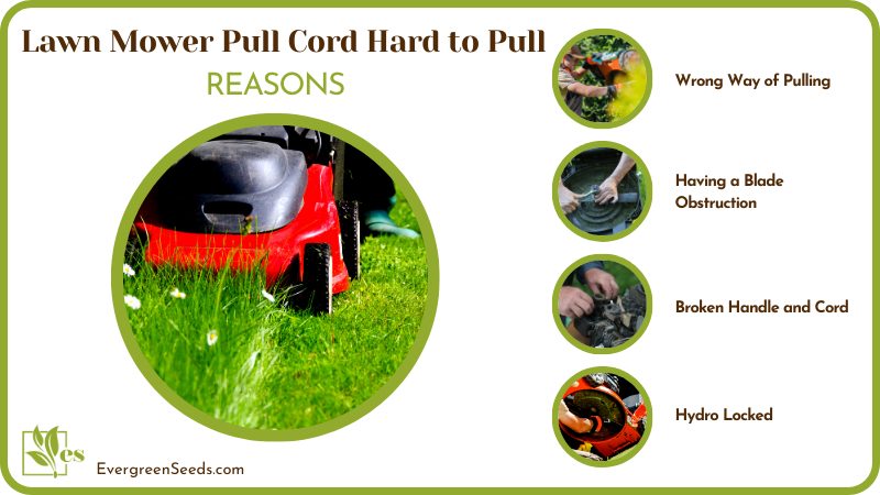 Reasons for Lawn Mower Pull Cord Hard to Pull