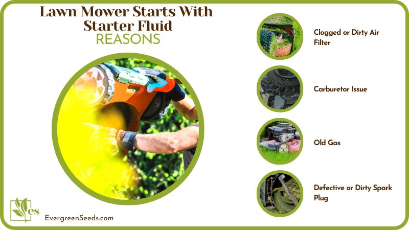 Reasons for Lawn Mower Starts With Starter Fluid